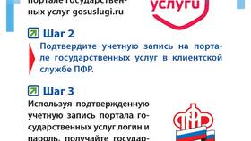 Как получить выписку из ЕГИССО через Госуслуги в Инканто