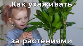 Как правильно использовать дренаж: полное руководство в Инканто