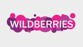 Как расшифровать СЦ и РЦ на Wildberries в Инканто