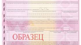 Как узнать информацию о страховке онлайн в Инканто
