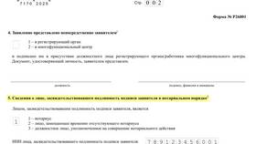 Как заполнять отчетность ИП: пошаговая инструкция в Инканто
