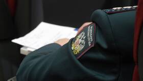 Камеральная проверка декларации: суть и порядок проведения в Инканто