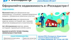 Ключ ФИС ГИБДД: что это в Инканто