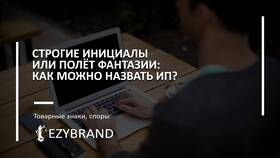 Начало работы ИП: с чего начать в Инканто