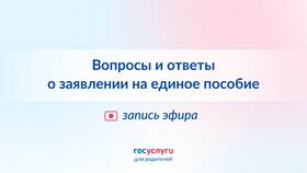 Основания временного проживания: что писать в заявлении на Госуслугах в Инканто