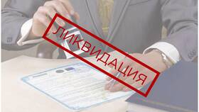 Почему налоговая не закрывает ООО в Инканто