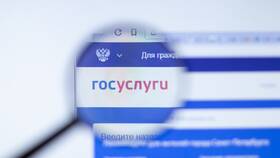 Почему не приходит госпошлина на Госуслугах в Инканто