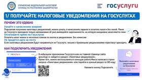 Почему не приходят уведомления с Госуслуг в Инканто