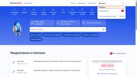 Почему не работают Госуслуги на телефоне в Инканто