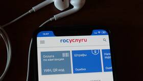 Почему недоступен сайт Госуслуги в Инканто