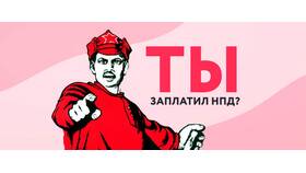 Самозанятость: за что платить налог в Инканто