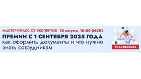 Стимулирующая выплата и премия: в чем разница в Инканто