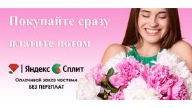 Яндекс Сплит мошенники: как работают схемы обмана в Инканто